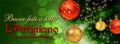 Felice anno nuovo !